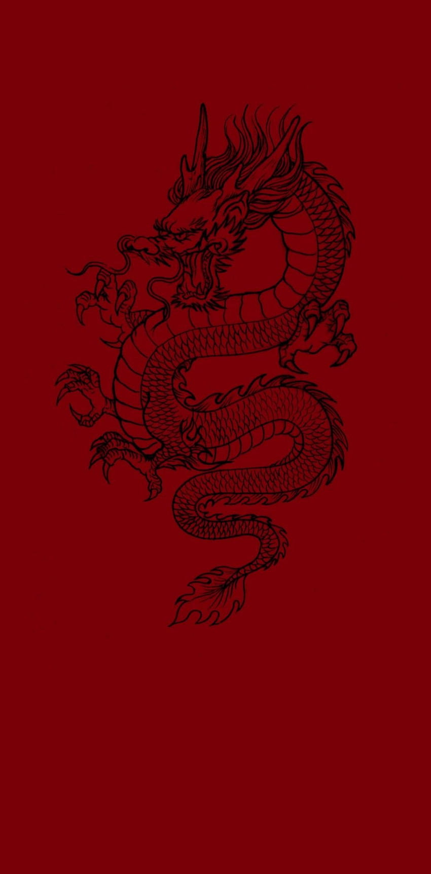 Download A magnificent Chinese dragon flying through the sky Wallpaper   Wallpaperscom