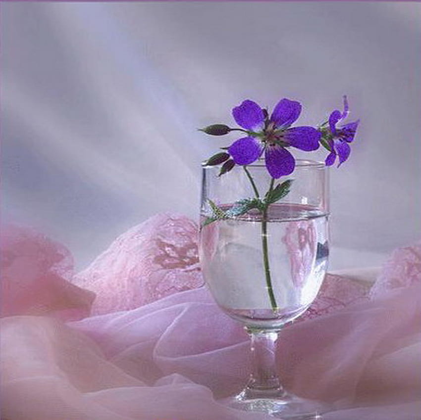 koronka, niebieski kwiatek, szkło, różowa koronka, jasny Tapeta HD