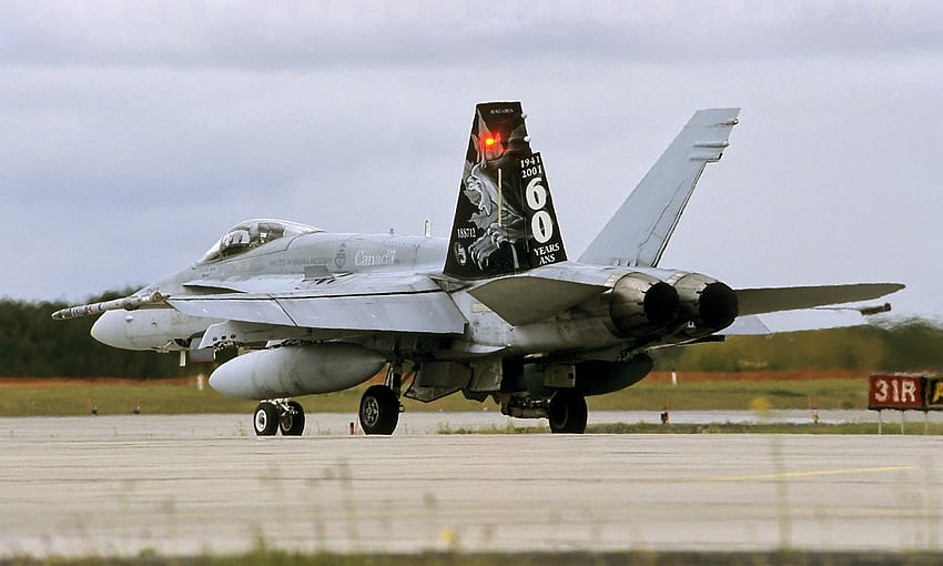 Canadian CF 18A Hornet, jet, militare, calabrone, ricognizione, caccia, f18, canada Sfondo HD