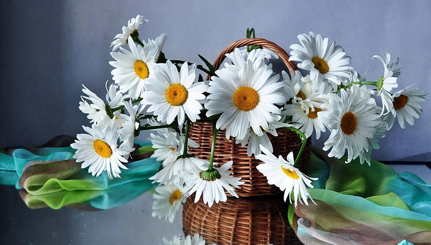 Still Life, basket, white, flowers HD wallpaper