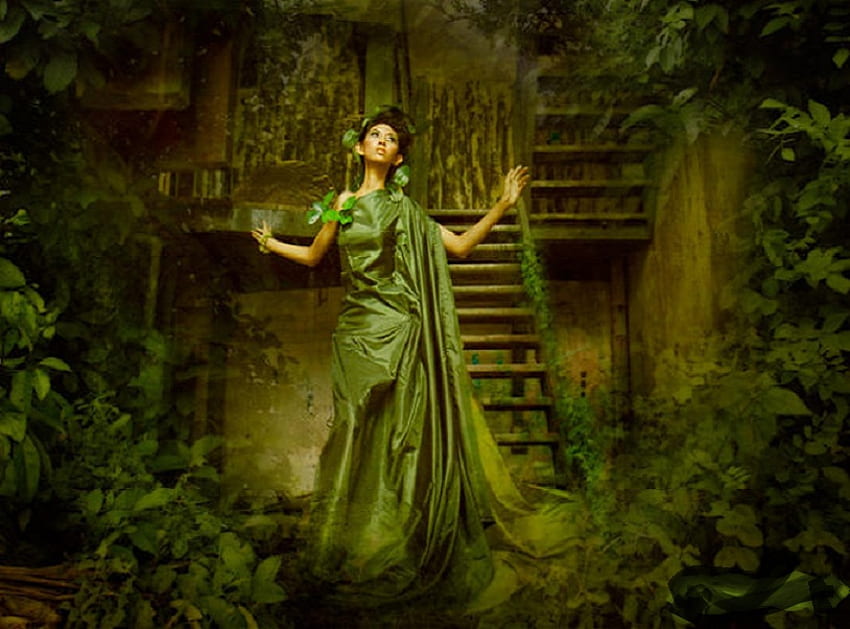 Evergreen, plants, steps, dress, woman, stairs, green, vines, nature, gown HD wallpaper