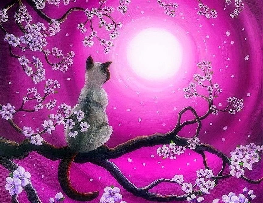 poranna Sakura, atrakcje w snach, y, kot, wiosna, miłość cztery pory roku, zwierzęta, sakura, rysowanie i malowanie, przyroda Tapeta HD