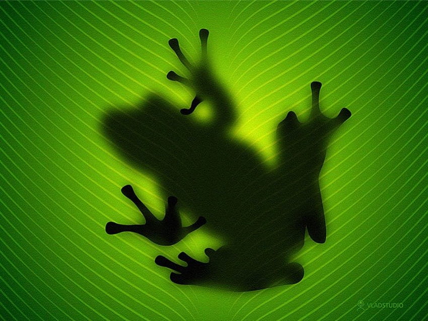Frosch, grün HD-Hintergrundbild