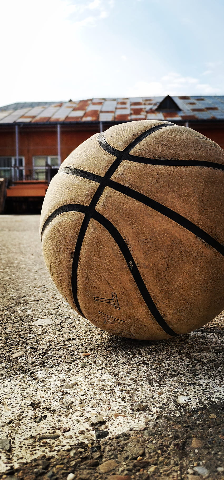 Baloncesto, madera dura, pelota fondo de pantalla del teléfono