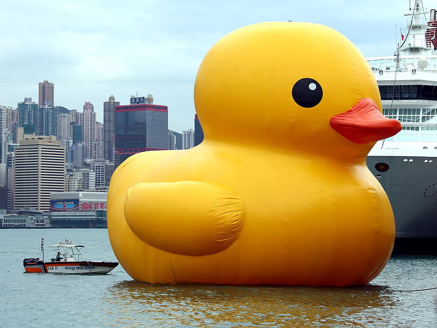 The original inflatable duck by Dutch artist Florentijn Hofman floats in Hong Kong's Victoria Harbour. HD wallpaper