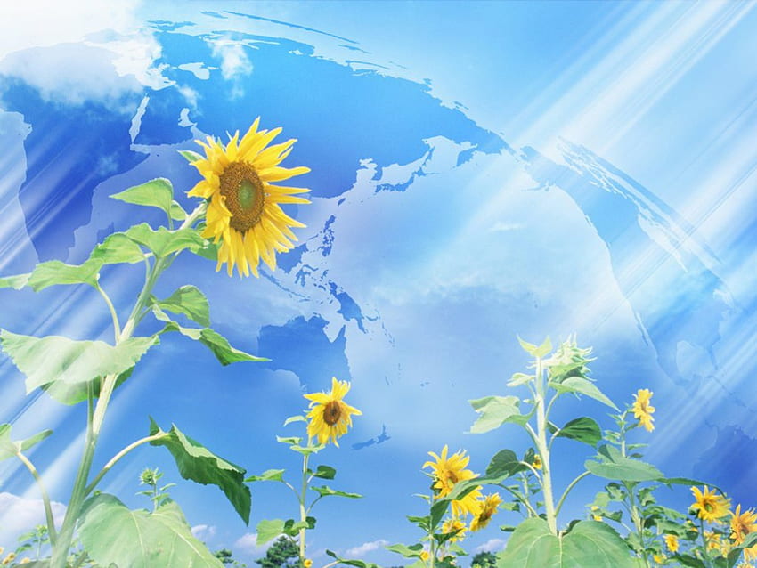 Globo y girasoles, azul, sonflowers, hojas, globo, naturaleza fondo de pantalla