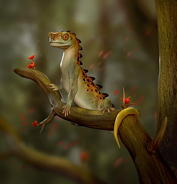 Funny reptile HD wallpapers | Pxfuel