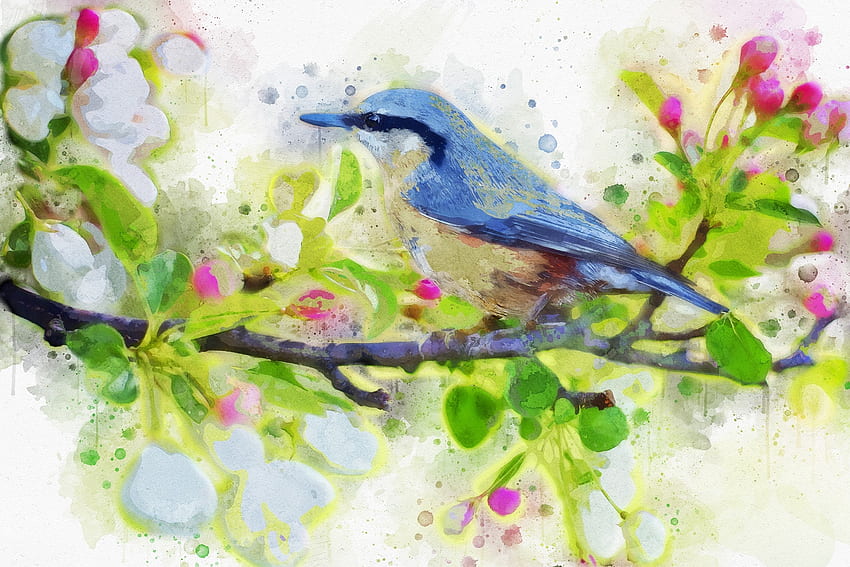 春の鳥, 鳥, 花, 春, 枝 高画質の壁紙