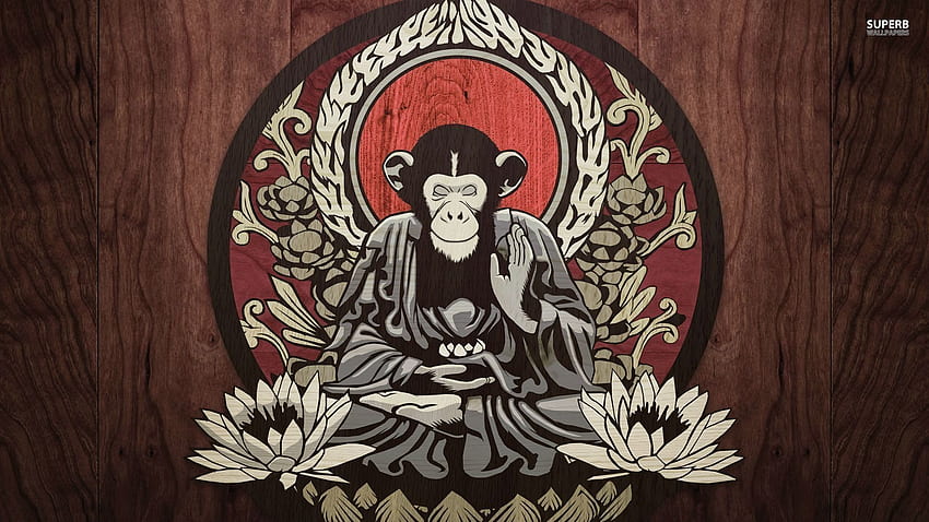 Medytująca małpa, mnich zen Tapeta HD