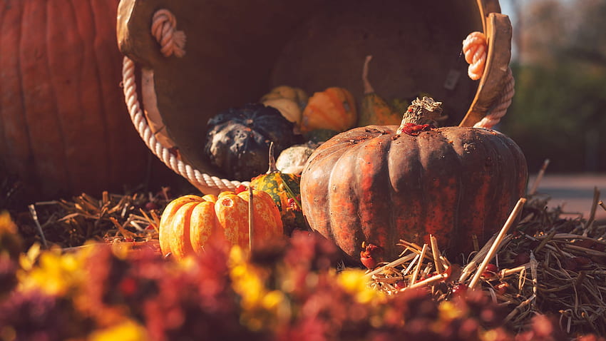 pumpkin, basket, straw, autumn, harvest 16:9 background, November Harvest HD wallpaper