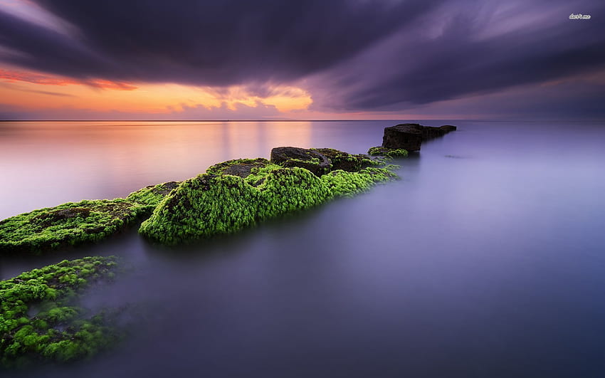 Mossy rocks in Matahari beach, Bali - Beach, Bali iPhone HD wallpaper