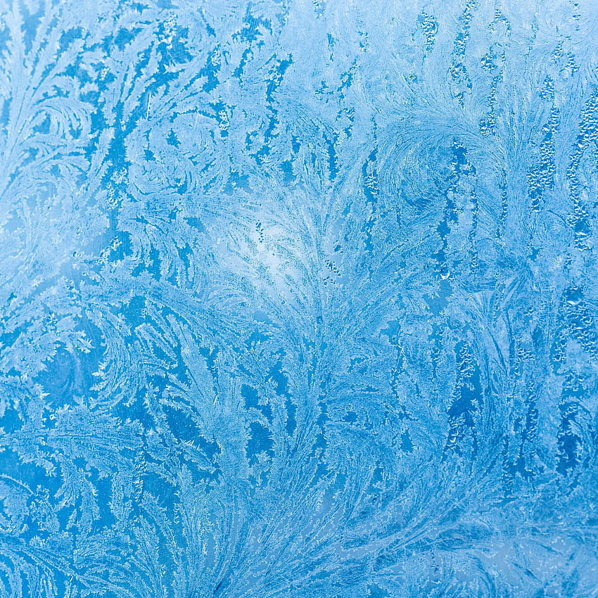 frost, glass, pattern, ice, Frozen HD phone wallpaper