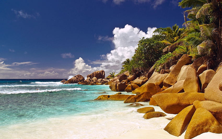 Naturaleza, piedras, playa, palmeras, orilla, banco, zonas tropicales, agua azul, cantos rodados fondo de pantalla