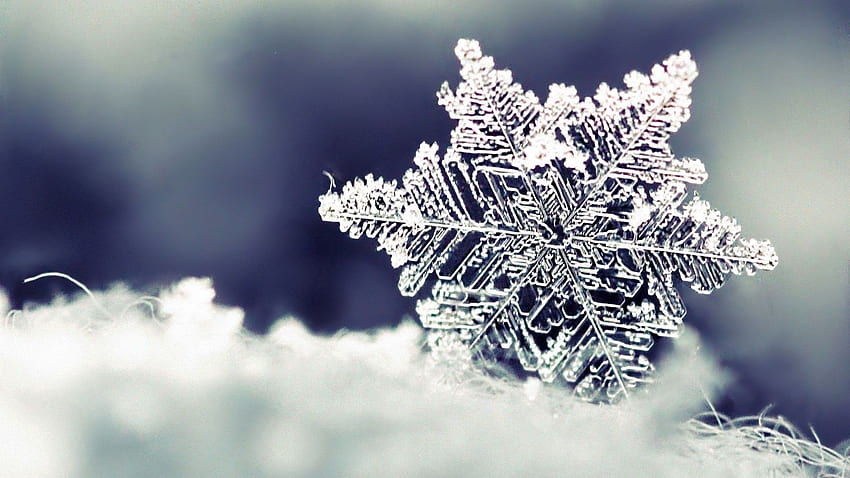 Neve, macro, motivo, forma, fiocco di neve Sfondo HD