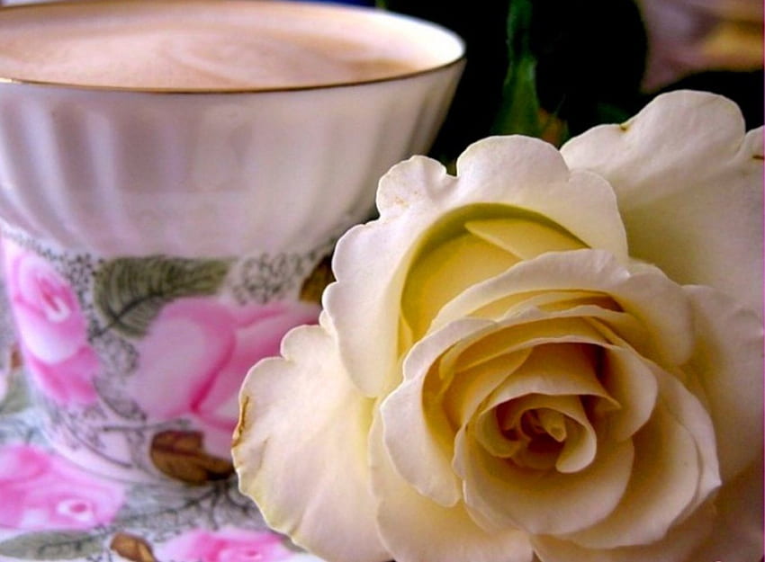 Cup and beautiful roses, other, tasty, cup, rose, pink, abstract, yellow, coffee, porcelain, cream HD wallpaper