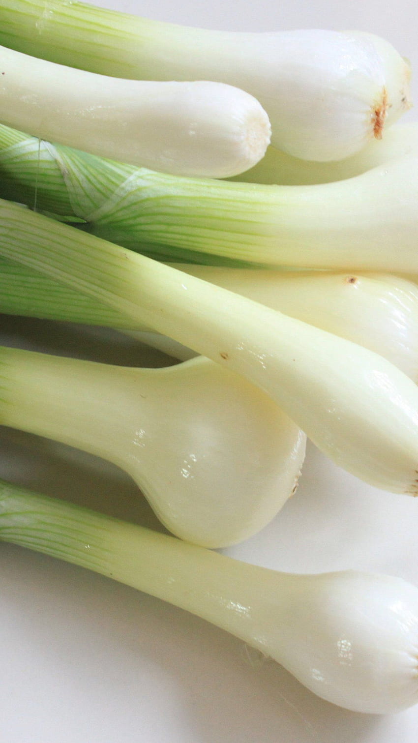 Green Onions - iPhone, Android & Background HD phone wallpaper
