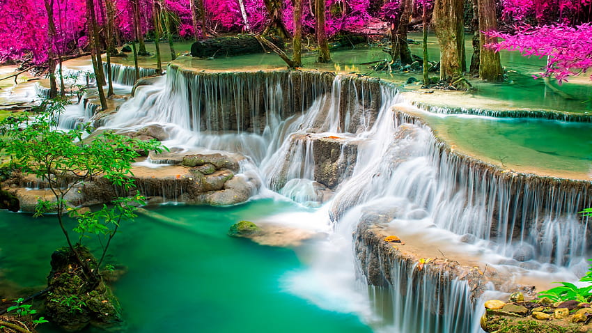 Wodospad w Tajlandii, tropikalny, rzeka, drzewa, kaskady, kwiaty, skały, kamienie Tapeta HD