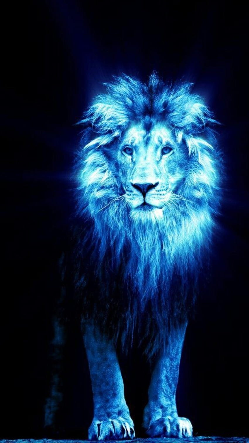 Blue Lion, Jungle Animal HD phone wallpaper