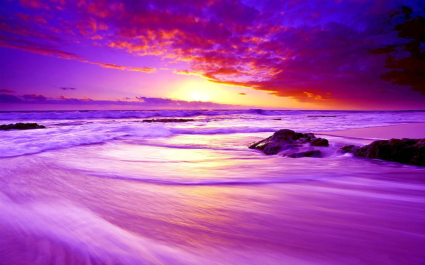 Strände: Sky Rocks Paradise Awesome Silent Purple Waves Beach Schöner, rosafarbener tropischer Strand HD-Hintergrundbild