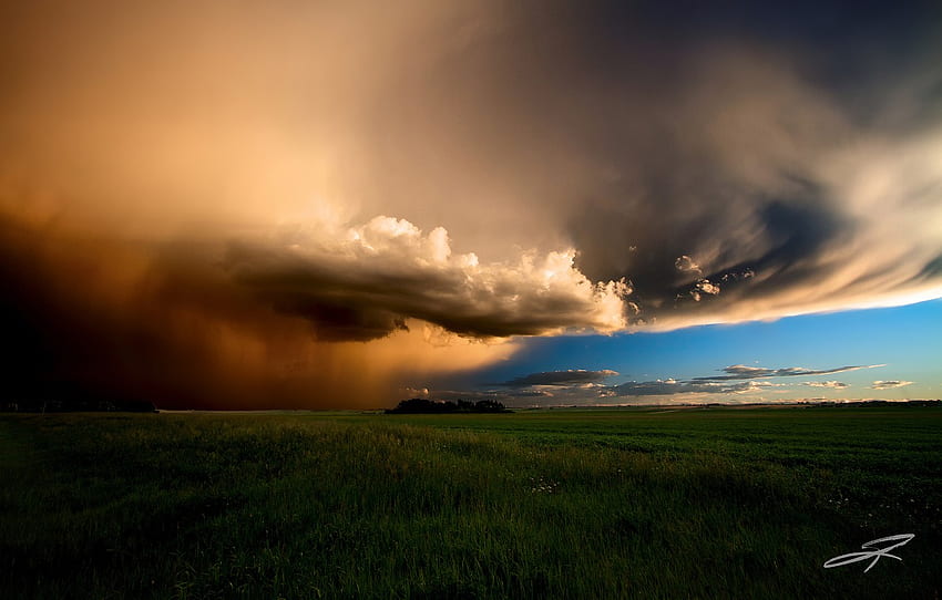 campo, verano, cielo, nubes, Canadá, Albert, junio, tormenta vespertina para , sección пейзажи, Alberta Prairie fondo de pantalla