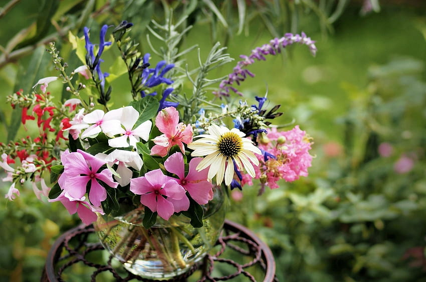 Flowers, Blur, Smooth, Bouquet, Vase, Stand, Echinacea, Balsams, Balsamins HD wallpaper