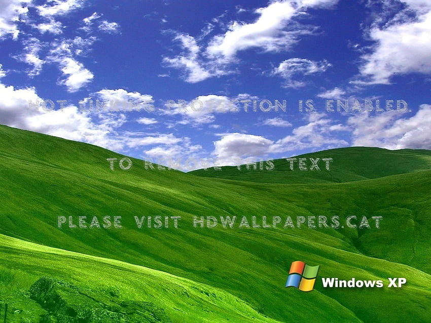 Windows XP 하늘 잔디 푸른 녹색 기술, Windows XP Grass HD 월페이퍼