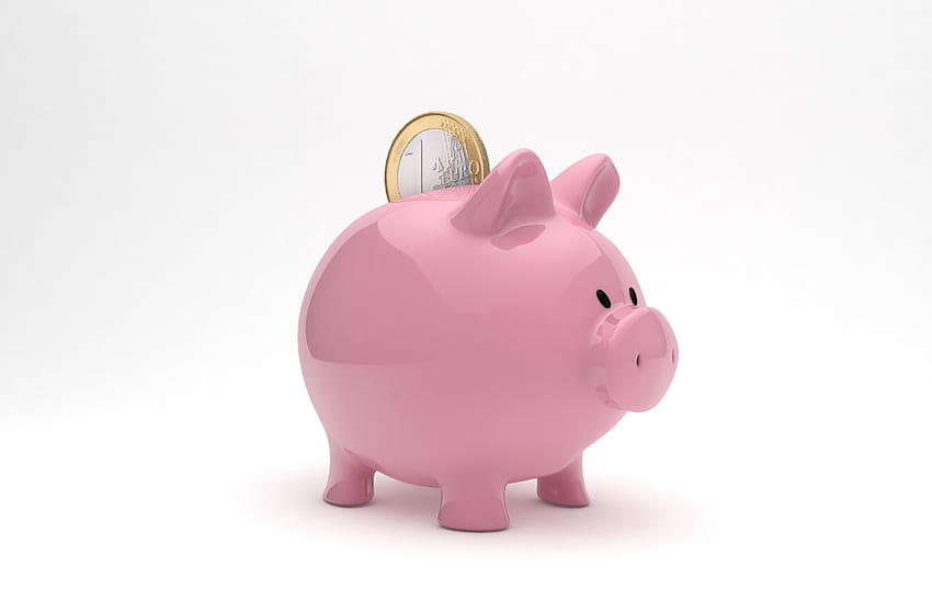 piggy bank, Cool Piggy HD wallpaper