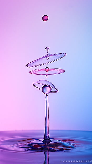 27 Water Drop Pictures  Download Free Images on Unsplash