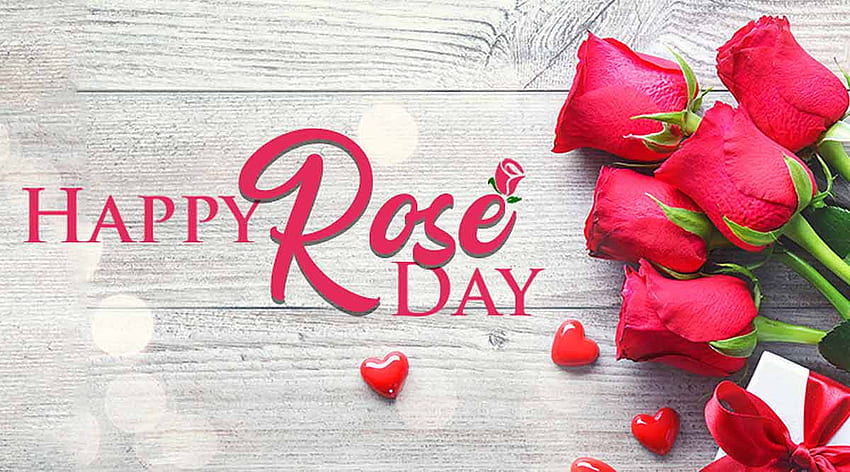 Happy World Rose Day 2020 Wishes , Quotes, Messages, Status to share with cancer survivors HD wallpaper