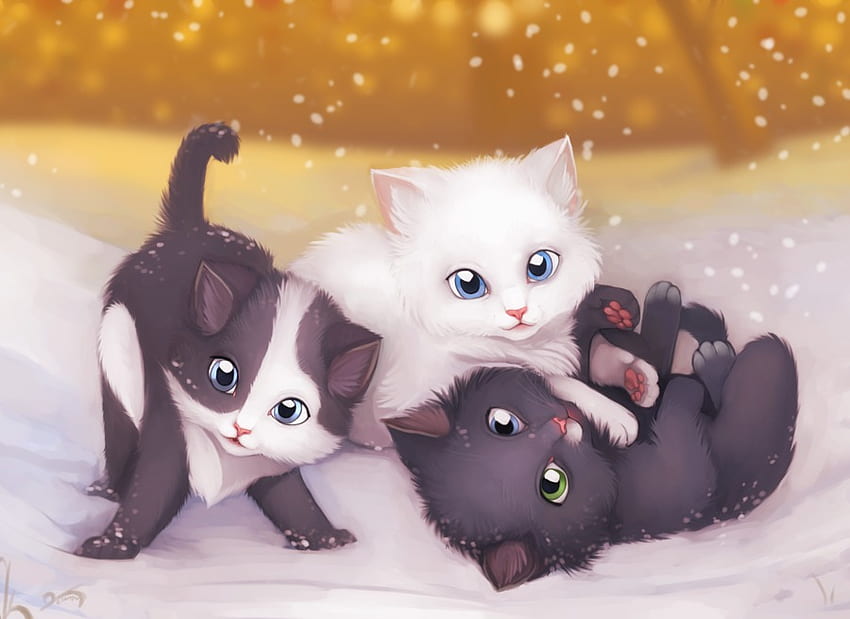 Noel'de yavru kedi, yavru kedi, pisi, hayvanlar, yılbaşı, kediler, sevimli, komik, güzel HD duvar kağıdı