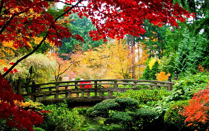 세계 건축 교량 아시아 동양 정원 가을 단풍 HD 월페이퍼