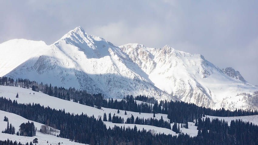 Vista da paisagem de montanhas cobertas de neve Spruce Trees inclinação fundo do céu azul inverno papel de parede HD