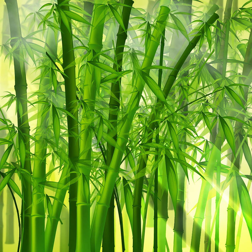 Vector - Green Bamboo Forest Japan - iPad iPhone, Green Japanese HD phone wallpaper