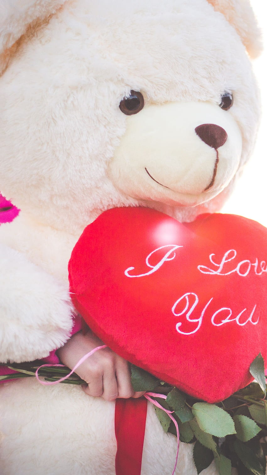 Teddy Bear, ti amo San Valentino, ti amo, San Valentino Sfondo del telefono HD