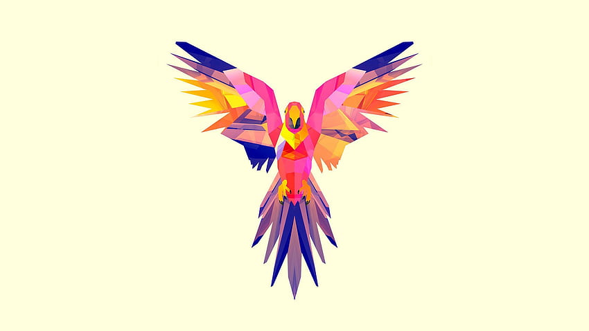 Parrots, Vector, Bright, , Drawing, Color HD wallpaper
