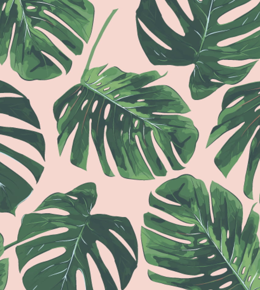 Pflaume Papierplaner. Blätter iphone, Blumentelefon, tropischer Hintergrund, rosa und grünes Blatt HD-Handy-Hintergrundbild