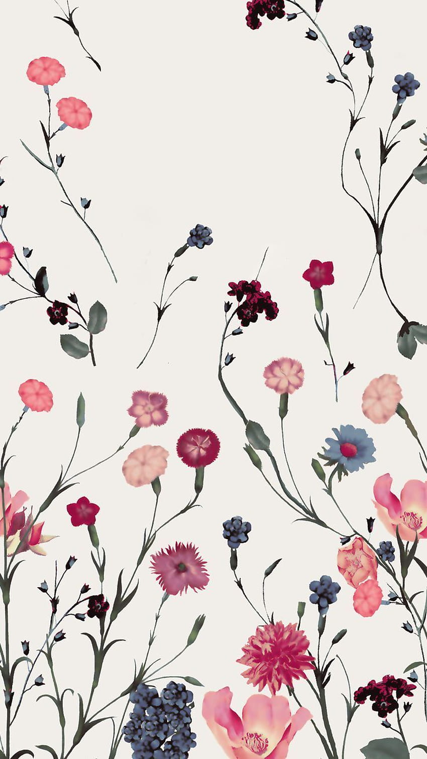アイフォン。 花, 植物, 植物学, ピンク, 花柄 HD電話の壁紙