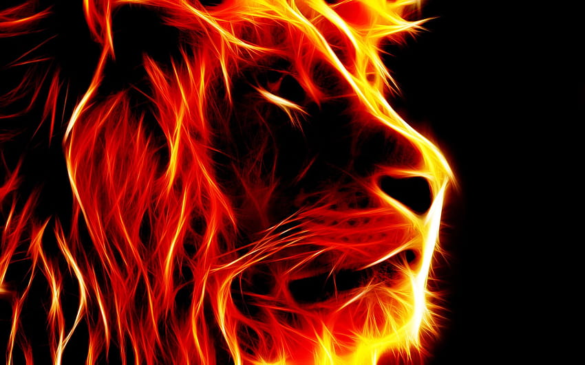 3D Lion Fire, Neon Lion HD wallpaper