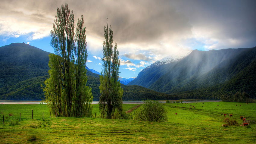 Yeni Zelanda, Yeni Zelanda Bahar HD duvar kağıdı