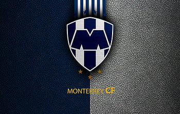 Monterrey HD wallpaper | Pxfuel