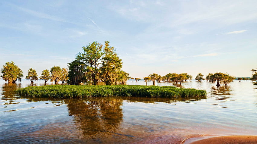 Lake Marion, South Carolina, trees, water, reflections, usa, sky HD wallpaper
