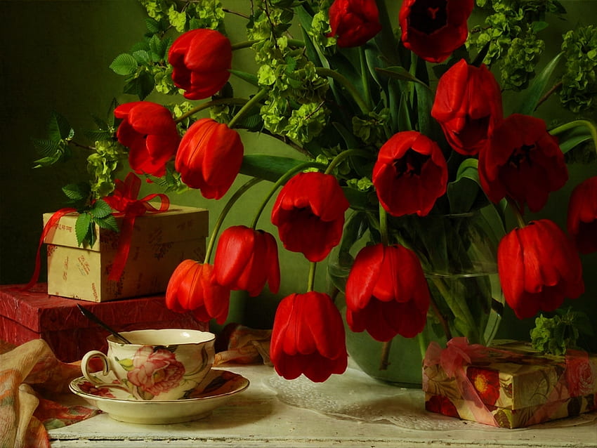 Piante, fiori, tulipani Sfondo HD