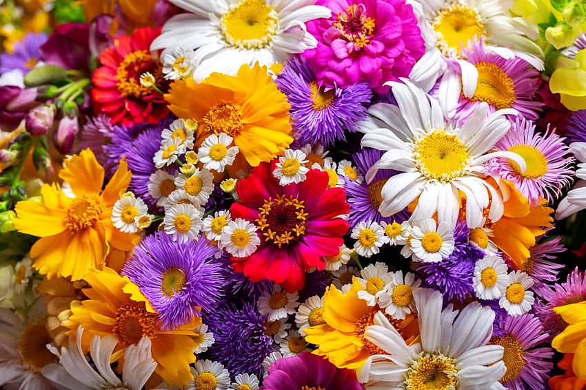 ช่อดอกไม้หลากสี ซัมเมอร์ สีสัน ช่อดอกไม้ ผสมกลิ่นดอกไม้ ฤดูใบไม้ผลิ กลิ่นหอม วอลล์เปเปอร์ HD