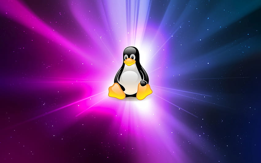 Linux. Funny Linux, Tux HD wallpaper