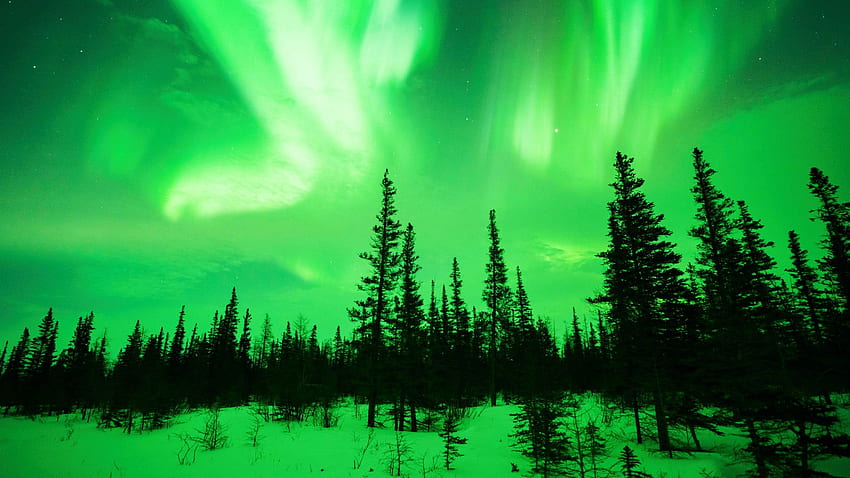 Churchill'den Aurora'nın ham hali, günümüzün Manitoba'sı, ağaçlar, manzara, gökyüzü, kuzey ışıkları, ABD HD duvar kağıdı