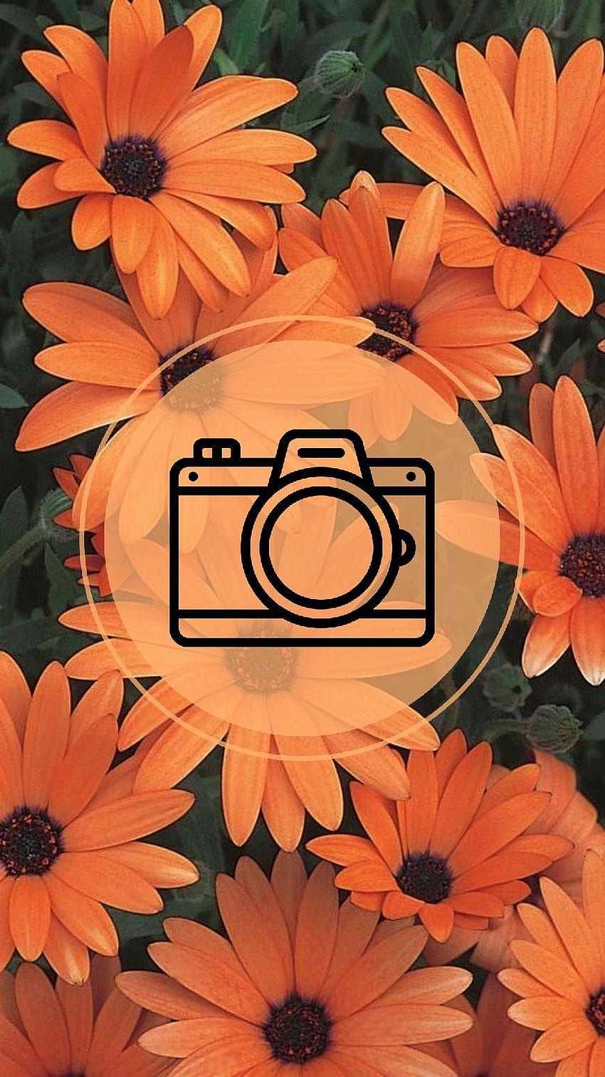 instagram wallpaper ponsel HD