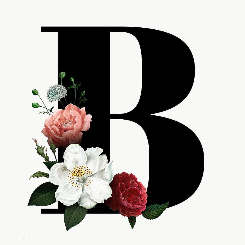 Best Monogram ideas. monogram , floral letters, alphabet, Cute Letter B HD phone wallpaper