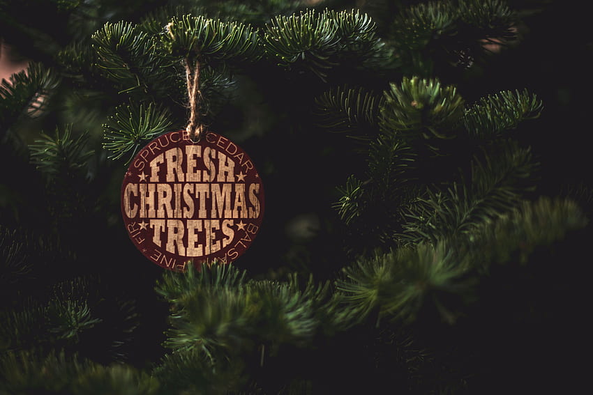 Words, Inscription, Text, Christmas Tree, Label HD wallpaper