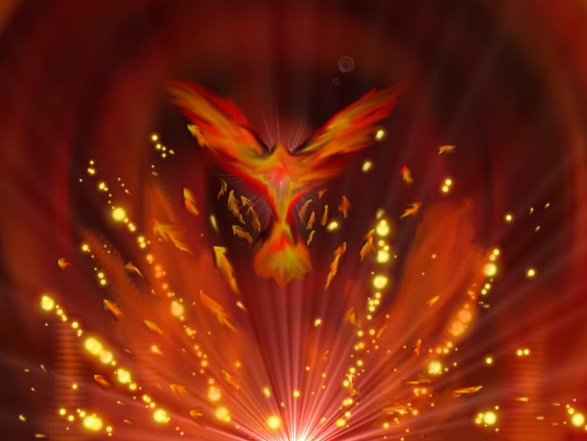 Phoenix, fantasy HD wallpaper
