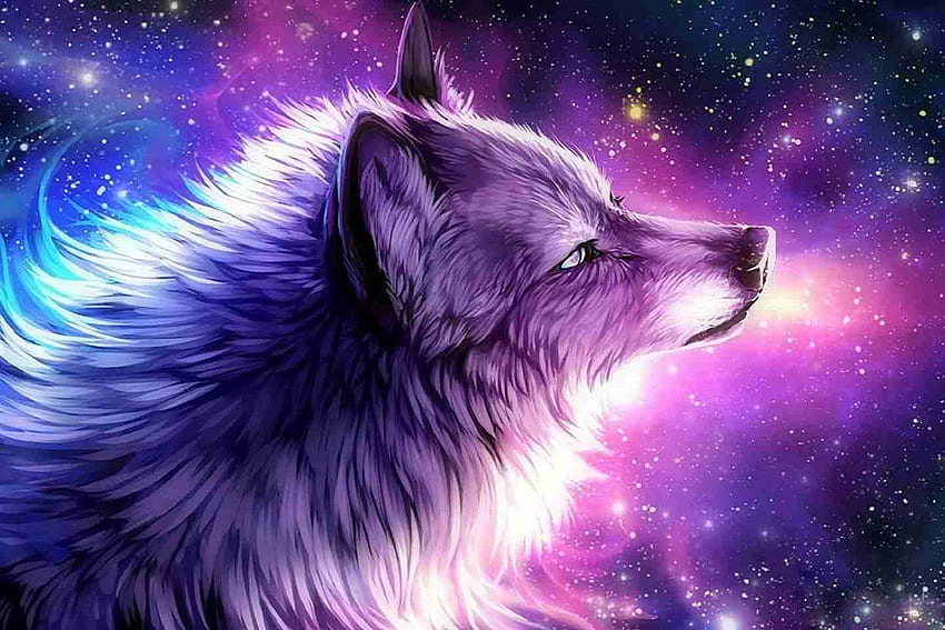 Wolf Galaxy, Rainbow Wolf HD wallpaper